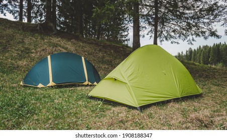 Green tents in a clearing, camping in the woods, adventure
