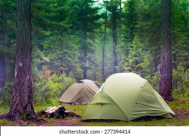 green tents are in the green misty forest