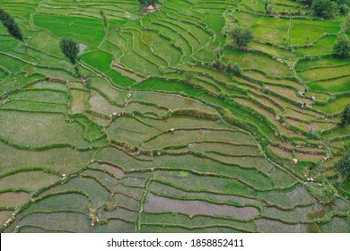 Contour Terracing High Res Stock Images Shutterstock