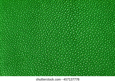 Green Texture Leather Shagreen