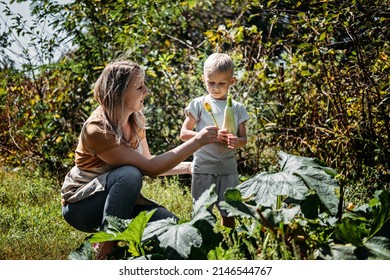 Green Thumbs, Spring Is Here, Home Gardens And Picking Vegetables. Happy Family, Mom And Kid Picking Vegetables Marrow And Having Fun In Garden In Summer Day