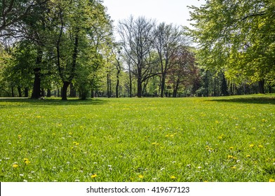 Green Tidy Park Grass Lawn Under Shady Trees - Summer Background With Copy-space