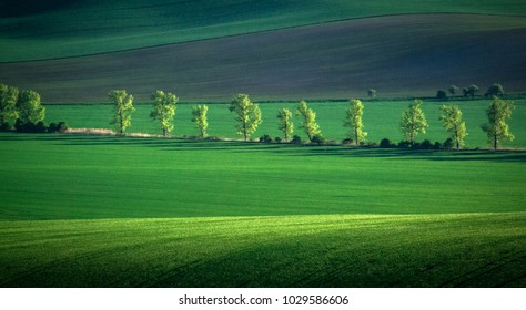 Green and tirquoise spring sown field abstract eco background. Summer hill amazing paysage wallpaper. South Moravia, Czech Republic - Shutterstock ID 1029586606