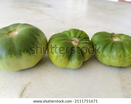 Green tomato close up tomato