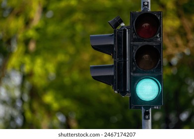 A green traffic light signaling go, with trees in the background. Shallow depth of feld