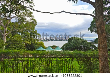 green tree with cityscape view