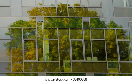 Green Tree with fall colors Reflection in Building window