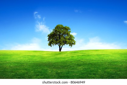 616,799 Nature single tree Images, Stock Photos & Vectors | Shutterstock