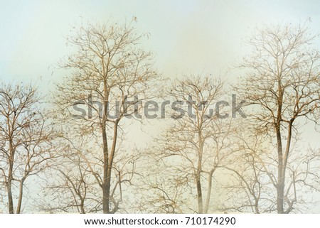 Similar – Foto Bild Winterliches Stoppelfeld