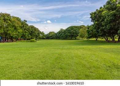 Green Tree And Green Grass In Public Park With Light Blue Sky And Orange Sunrise