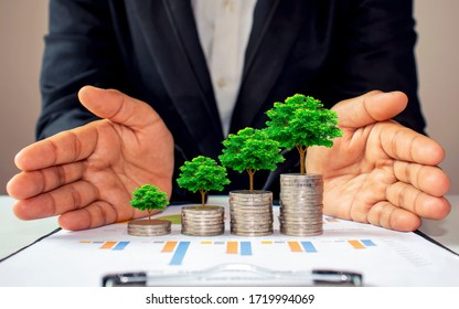 The green tree growing on coins increases in different ways, including the hands of businessmen who are encircling a pile of coins.