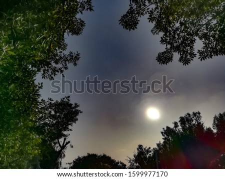 Similar – Image, Stock Photo Blood moon at total lunar eclipse, shining through trees