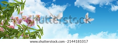 Green tree leaves, pink spring flowers and flying doves on sky. panoramic view of clear blue sky with white beautiful clouds. ceiling decoration image