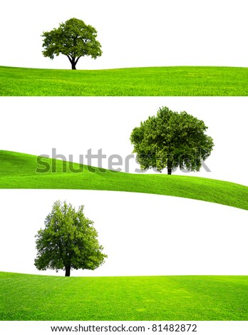 Similar – Image, Stock Photo lonely tree Tree Meadow