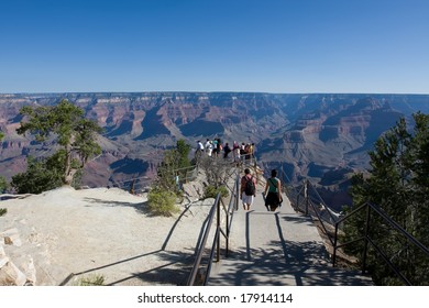 Green tree with people on the Grand Canyon