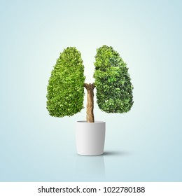 Grüner Baum in menschlichen Lungen geformt. Konzeptuelles Bild