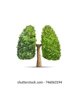 Green tree shaped in human lungs. Conceptual image