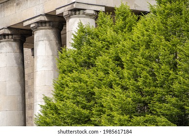 Green Tree And Stone Columns Of The Palace In The Distance, Socialist Realism