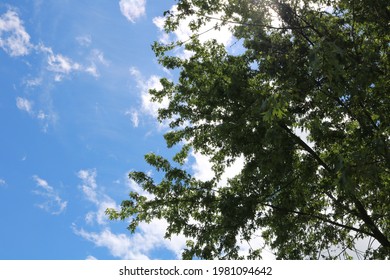 4,201 Gentle breeze Images, Stock Photos & Vectors | Shutterstock