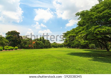 Green trees in beautiful park over blue sky
