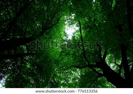 Similar – Image, Stock Photo green sky Colour photo