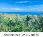 Green trees and blue sea, sky from Cetti bay overlook l, Guam