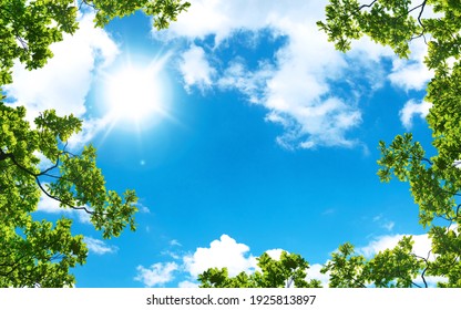 Green Trees And A Cloudy Blue Sky