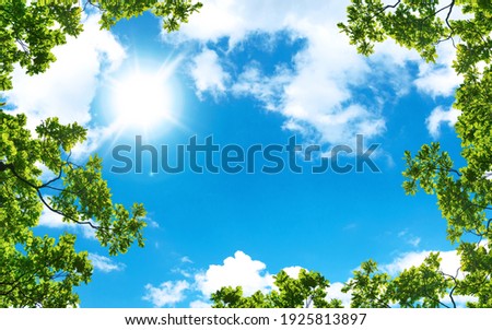 green trees and a cloudy blue sky