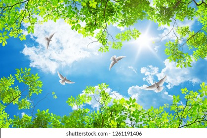 Green Trees And Doves On A Sunny Day