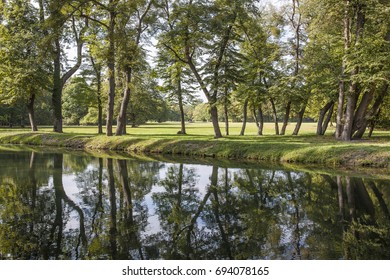 green trees in the forest and their reflection on water 