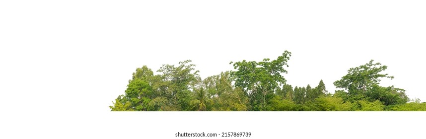 27,225 Forest channel Images, Stock Photos & Vectors | Shutterstock