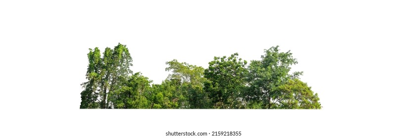 27,225 Forest channel Images, Stock Photos & Vectors | Shutterstock