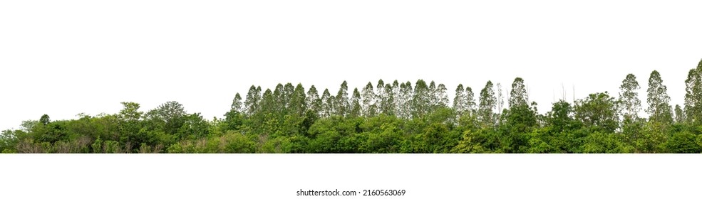 27,225 Forest channel Images, Stock Photos & Vectors | Shutterstock