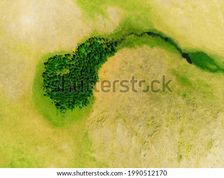 Green trees on the meadow with green grass. Top down aerial drone view. Beautiful summer landscape. Bashkortostan, South Ural, Russia
