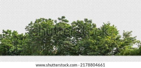 Similar – Image, Stock Photo Group of trees and cows