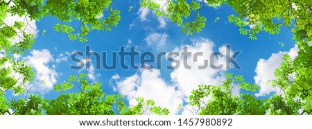green trees and panoramic sky