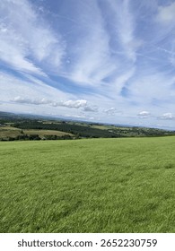 Green trees, plants, and fields beneath a blue sky with white clouds in a countryside forest in Cork, Ireland