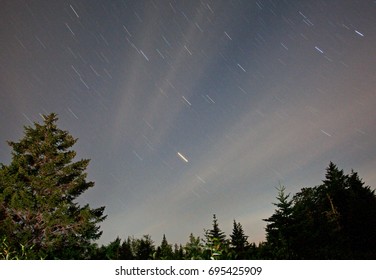 green trees and star trails from a long exposure at nighttime outdoors - Powered by Shutterstock