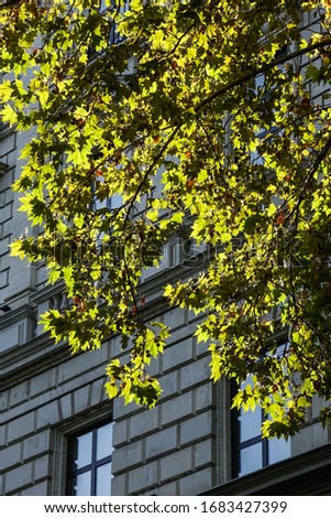 Similar – Frühling in der Stadt