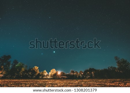 Green Trees Woods In Park Under Night Starry Sky. Night Landscape With Natural Real Glowing Stars Over Forest, Meadow At Summer Season. View From Eastern Europe At Spring Season.