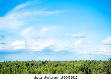 Green Treetops And Beautiful Cloudy Blue Sky. Forest Landscape View From Above To Sky Panorama. 