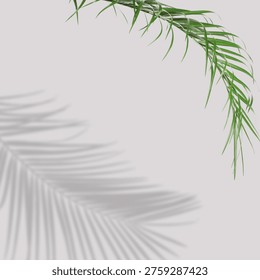 Green tropical leaf casting shadow on grey background