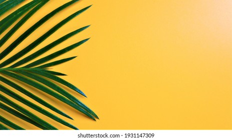 589,065 Palm Tree Pattern Images, Stock Photos & Vectors | Shutterstock