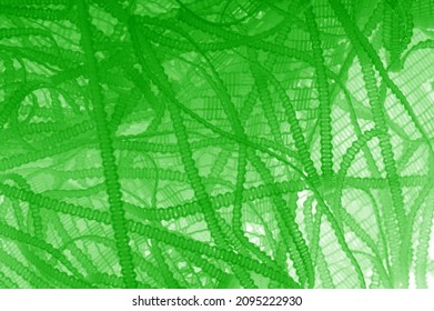 Green Tulle Fabric Texture, Luxurious Tulle Fabric Pattern With Soft Material.