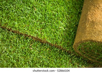 Green Turf Grass Roll Closeup And Background