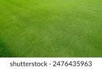 Green turf grass texture and background. Green grass field. Green grass for golf course, soccer, football, sport. Green grass field for golf course, soccer, football, sport.