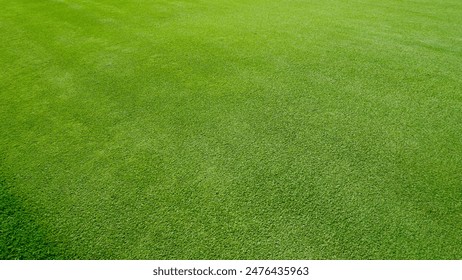 Green turf grass texture and background. Green grass field. Green grass for golf course, soccer, football, sport. Green grass field for golf course, soccer, football, sport. - Powered by Shutterstock