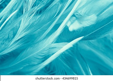 Green Turquoise Vintage Color Trends Feather Texture Background