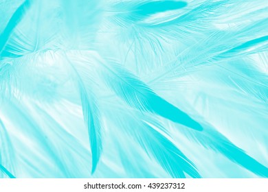 Green Turquoise Vintage Color Trends Chicken Stock Photo 439237306 ...