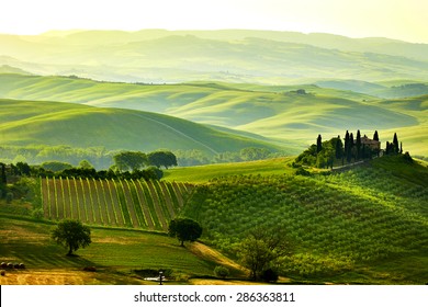 Green Tuscany Hills